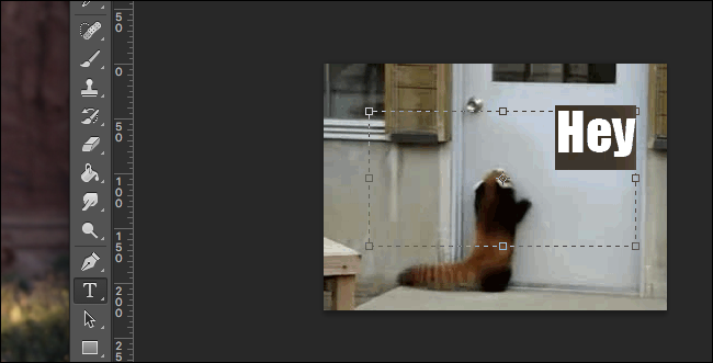 photoshop-text-tool