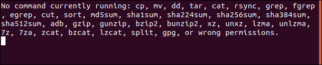 progresso à espera de um comando para iniciar em uma janela de terminal