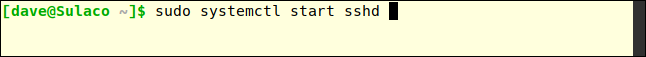 sudo systemctl iniciar sshd em uma janela de terminal