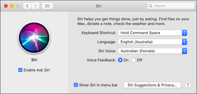 Personalize as preferências da Siri no macOS