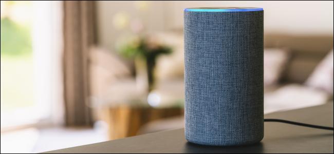 Um Amazon Echo cinza no meio de uma sala de estar.