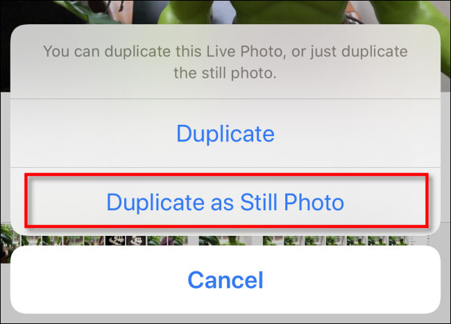 Toque em "Duplicar como foto estática" em Fotos no iPhone.
