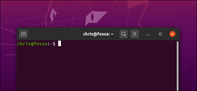 Uma janela de terminal em um desktop Ubuntu.