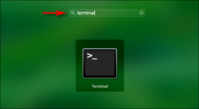 Abra o Launchpad e digite "terminal" e pressione Enter.