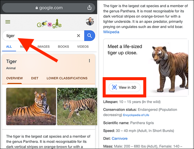 Digite seu termo de pesquisa no Google e toque em "Visualizar em 3D".