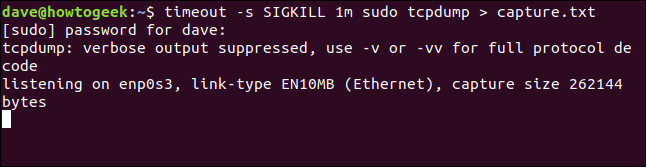 timeout -s SIGKILL 10 sudo tcpdump> capture.txt em uma janela de terminal