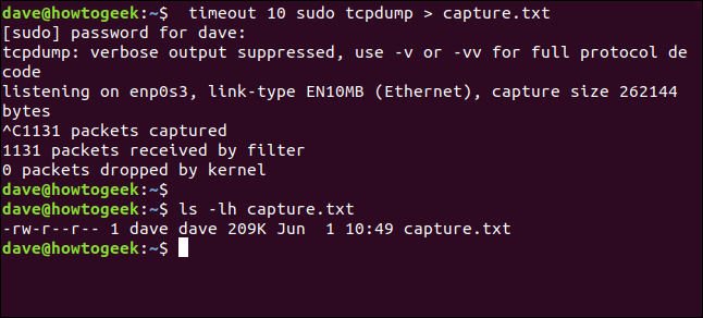 ls -lh capture.txt em uma janela de terminal