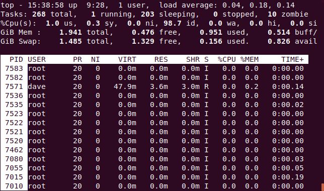 topo com o processo listado classificado pela coluna PID, em uma janela de terminal.