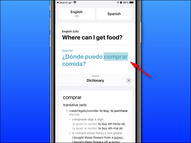 No modo Dicionário do Apple Translate no iPhone, você pode tocar nas palavras para ver suas definições.