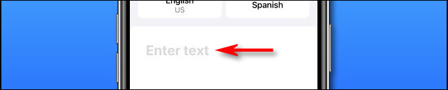 No Apple Translate no iPhone, toque na área "Inserir texto" para inserir o texto a ser traduzido.