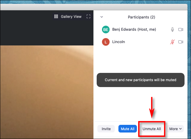Clique em Unmute All in Zoom