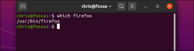 Executando "which firefox" em uma janela de Terminal no Ubuntu.