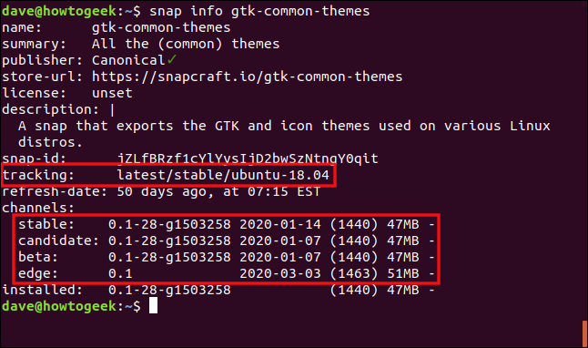 O comando "snap info gtk-common-themes" em uma janela de terminal.