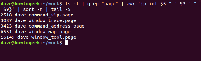 Cinco maiores arquivos .page listados por ordem de tamanho em uma janela de terminal