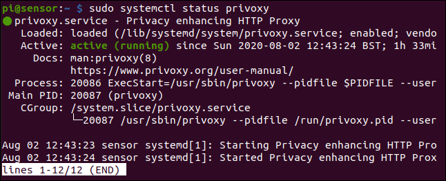 sudo systemctl status privoxy em uma janela de terminal.