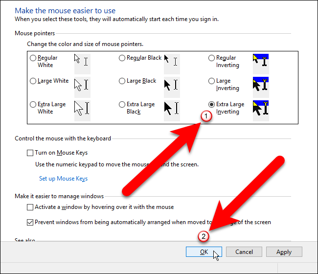 11_selecting_mouse_pointer_in_control_panel