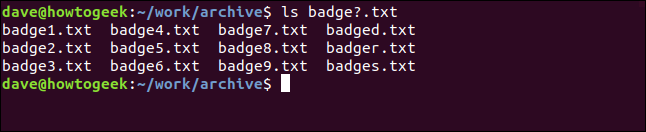 O comando "ls badge? .Txt" em uma janela de terminal.