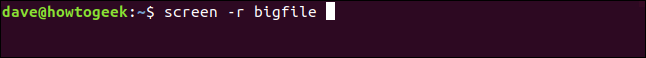 O comando "screen -r bigfile" em uma janela de terminal.
