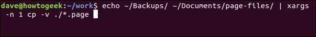 echo ~ / Backups / ~ / Documents / page-files / |  xargs -n 1 cp -v ./*.page em uma janela de terminal