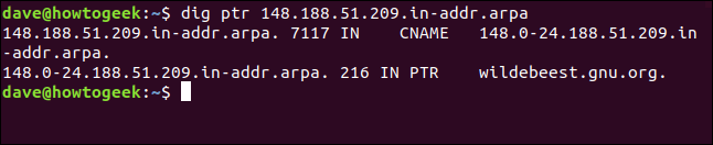 O comando "dig ptr 148.188.51.209.in-addr.arpa" em uma janela de terminal.