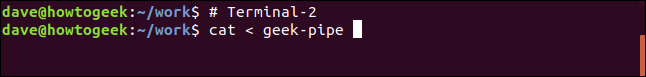 cat <geek-pipe em uma janela de terminal