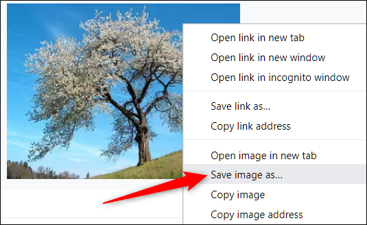 Clique com o botão direito na imagem e clique em Salvar imagem como