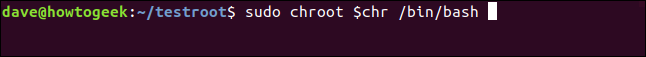 sudo chroot $ chr / bin / bash em uma janela de terminal