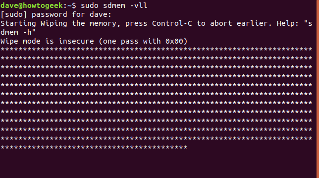 saída de sdmem em uma janela de terminal