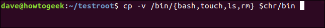 cp -v / bin / {bash, touch, ls, rm} $ chr em uma janela de terminal