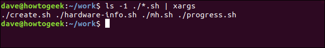 ls canalizado através de xargs em uma janela de terminal