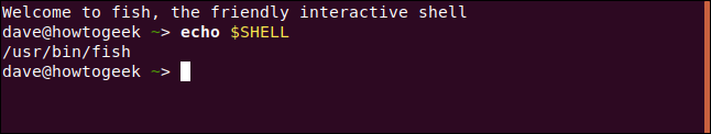 echo $ SHELL em uma janela de terminal.