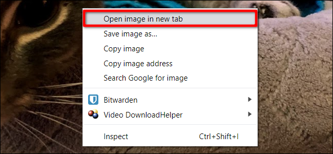Imagem aberta do Chrome em nova guia