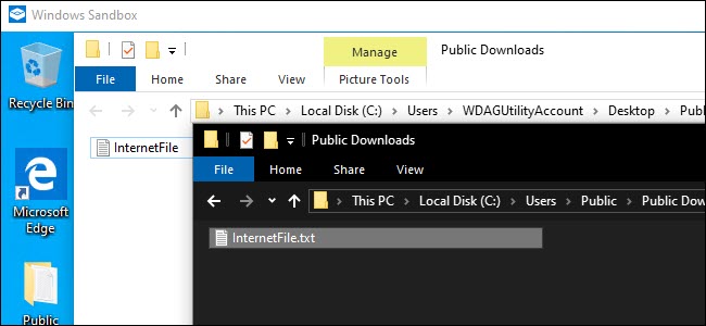 Windows Sandbox Explorer e Host system Explorer mostrando um arquivo compartilhado