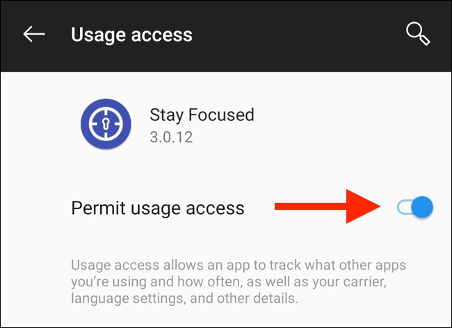 Toque no botão de alternância ao lado de "Permitir acesso de uso" para ativá-lo.
