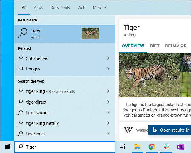 Pesquisa do Bing mostrando informações sobre tigres no menu Iniciar do Windows 10.