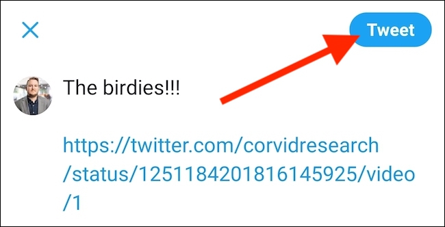 Escreva seu tweet, cole o URL, adicione "/ video / 1" e toque no botão "Tweet"