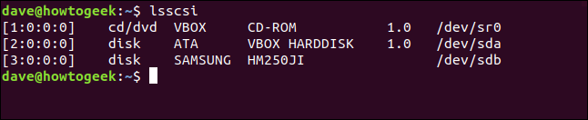 saída lsscsi em um terminal widnow