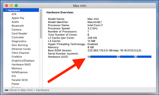 Relatório do sistema mostrando UUID