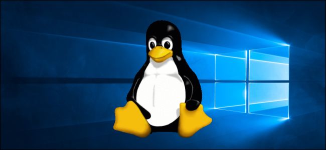 Mascote Tux do Linux em um papel de parede do Windows 10