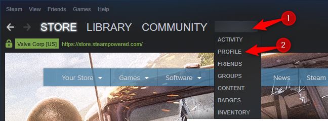 Abrindo seu perfil no Steam