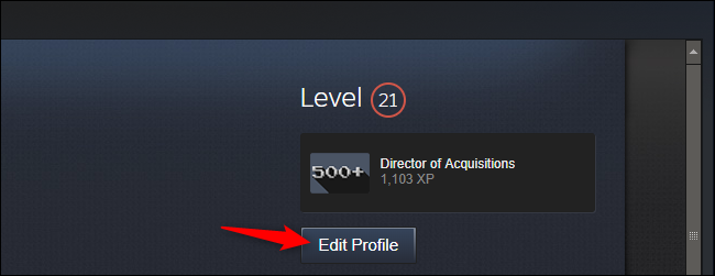 Editando seu perfil no Steam