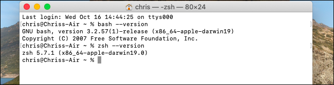 Visualizando as versões do Bash e Zsh no macOS Catalina.