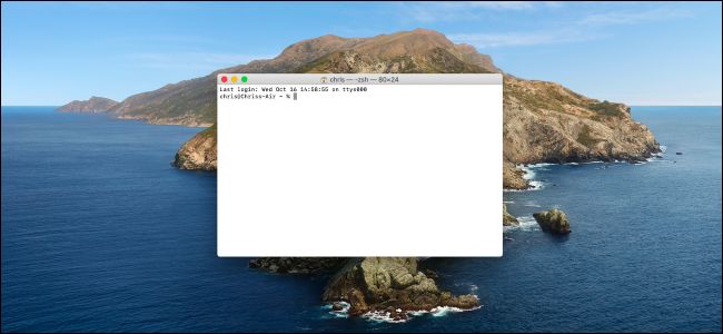 Janela de terminal em um desktop macOS Catalina.