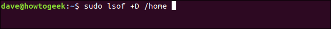 sudo lsof + D / home em uma janela de terminal