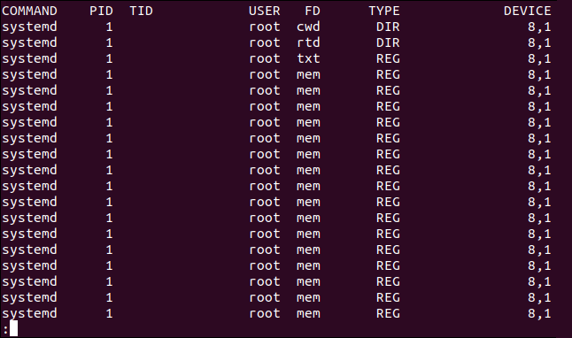 as colunas mais à esquerda da saída lsof em uma janela de terminal