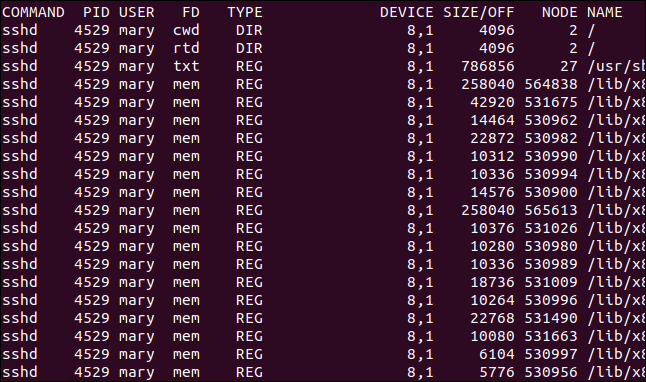 saída lsof em uma janela de terminal