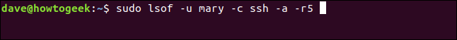 sudo lsof -u mary -c ssh -a -r5 em uma janela de terminal