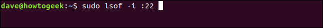 lsof -i: 22 em uma janela de terminal