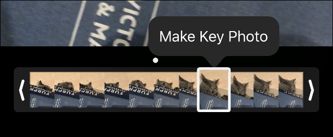 A opção "Make Key Photo" em uma Live Photo.