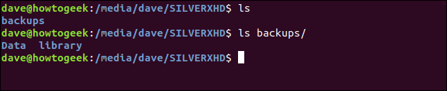 Saída de ls em uma janela de terminal